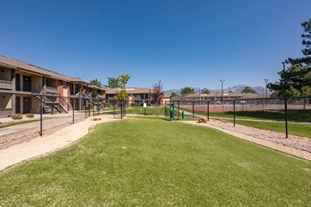 Bark park