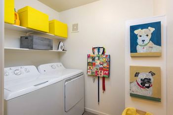 Washer/dryer