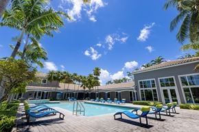 Hollywood apartment for rent - A pool surrounded by palm trees and sun loungers.