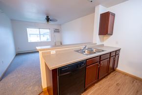Bemidji apartment for rent - Sink With Faucet at Timber Ridge Apartments, Bemidji