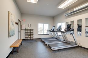 Rochester townhouse for rent - Fitness Room at Falcon Heights Townhomes, Minnesota