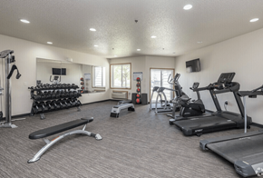 Fargo apartment for rent - A spacious gym with a variety of equipment including treadmills, weights, and exercise machines.