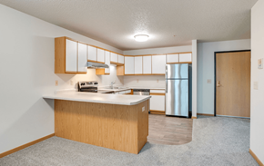 Coon Rapids apartment for rent - Kitchen with stainless steel appliances