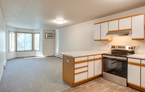 Coon Rapids apartment for rent - Kitchen with stainless steel appliances at Redwood Estates, Coon Rapids, Minnesota, 55433