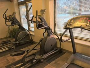 Chicago apartment for rent - a home gym with exercise equipment in a corner of a room