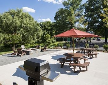Bbq/picnic area
