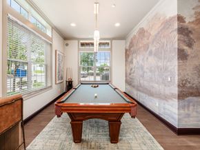 Lewis Center apartment for rent - Billiards table
