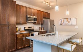 Kissimmee apartment for rent - Silverton kitchen