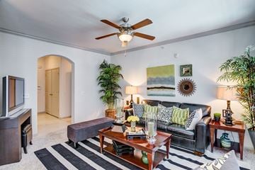 Houston apartment for rent - A living room with a black couch and a striped rug.