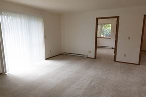 Cedar Grove apartment for rent - an empty living room with a window and a curtain