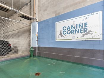 The indoor swimming pool at canine corner with a sign on the wall 