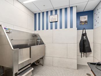 A large stainless steel sink in a kitchen with blue and white striped walls