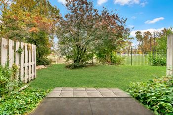 Lush green outdoor