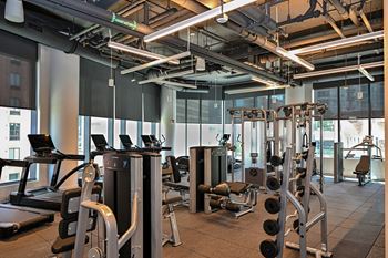 Fitness club with cardio and muscle toning equipment, free weights