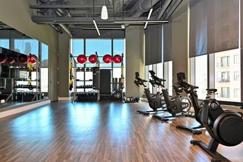 Fitness club with cardio and muscle toning equipment, free weights
