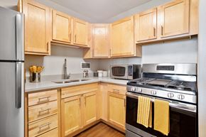 Chicago apartment for rent - a kitchen with wooden cabinets and stainless steel appliances at Eden Commons, Chicago, 60616