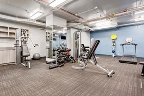 Chicago apartment for rent - a spacious fitness center with cardio equipment and weights at Eden Commons, Illinois