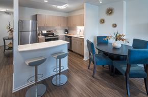 Chicago apartment for rent - Beautiful Brand New Kitchens at Elm Street Plaza, Chicago, IL