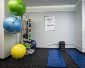 Yoga equipment's