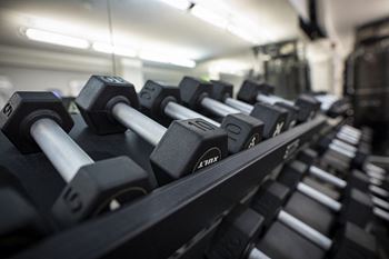 Free weights