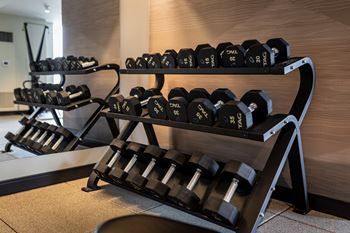 Fitness center and free weights