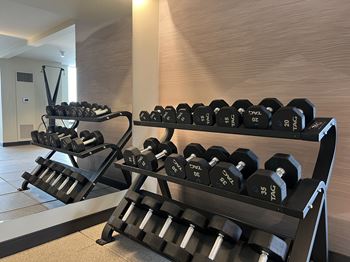 Fitness center and free weights