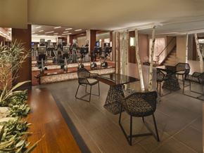 Chicago condo for rent - A gym with a row of treadmills and exercise bikes.