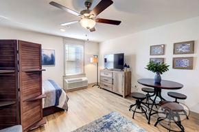 Knoxville apartment for rent - Studio apartment with large window, flat screen TV, white walls, hardwood vinyl flooring, and a ceiling fan.