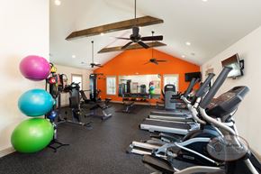 Arden townhouse for rent - A gym with a variety of equipment including treadmills, exercise balls, and weights.