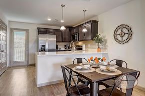 Knoxville townhouse for rent - A kitchen with stainless steel appliances and a white quartz counter top.