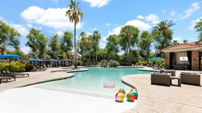 Scottsdale apartment for rent - A pool with a blue sky and palm trees in the background.