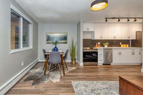 Denver apartment for rent - 1341 Cook Apartments in Denver, CO