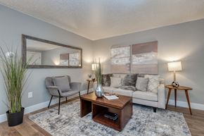 Denver apartment for rent - 1341 Cook Apartments in Denver, CO