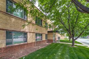 Denver apartment for rent - A tree is in front of a building.