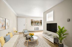 Denver apartment for rent - 1635 Cook Apartments in Denver, Colorado