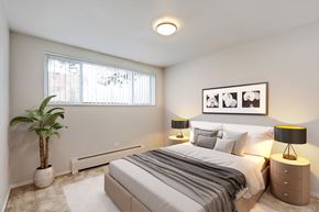 Denver apartment for rent - The Pines Apartments in Denver, CO