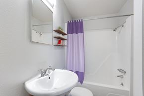 Denver apartment for rent - A white sink with a purple shower curtain in a bathroom.