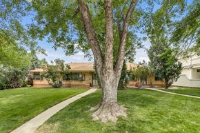 Denver apartment for rent - A tree stands in a grassy front yard in front of a house.