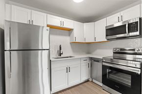 Denver apartment for rent - 816 N Cherry Apartments in Denver, Colorado