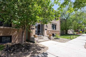 Denver apartment for rent - A tree in front of a building with a black fence in the background.