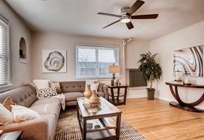 Denver apartment for rent - A living room with a grey couch, a coffee table, a potted plant, and a ceiling fan.
