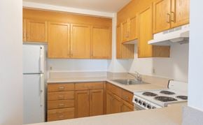 Boston apartment for rent - Kitchen area