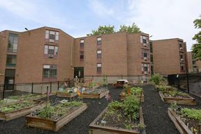 Worcester apartment for rent - A garden in front of a brick apartment building.