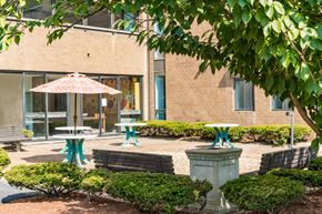 Medford apartment for rent - A patio with a table and chairs is surrounded by bushes and trees.