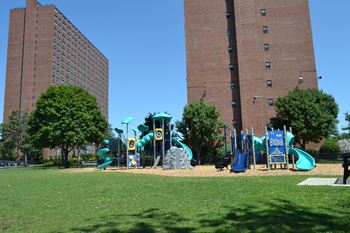 Playground surrounded by shade trees