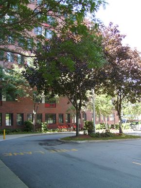 Gardner apartment for rent - Beautiful landscaping