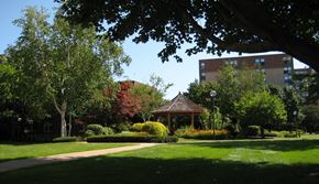 Hartford apartment for rent - Gazebbo