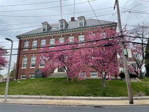 Roslindale apartment for rent - Historical school house building with colorful landscaping