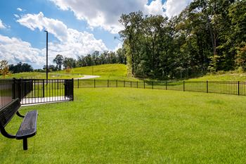 Dog park
