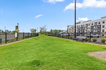 Lawn area